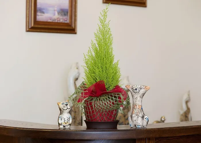 לינה וארוחת בוקר Senoji