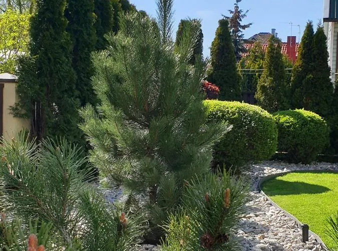 Senoji Bed & Breakfast Palanga